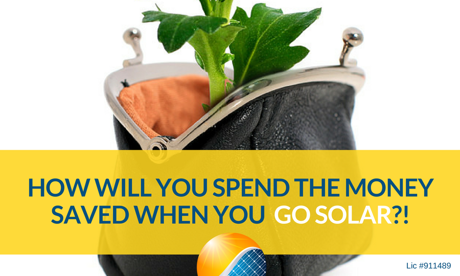 Shows a sapling growing out of a purse symbolizing the renewable savings offered when you go solar