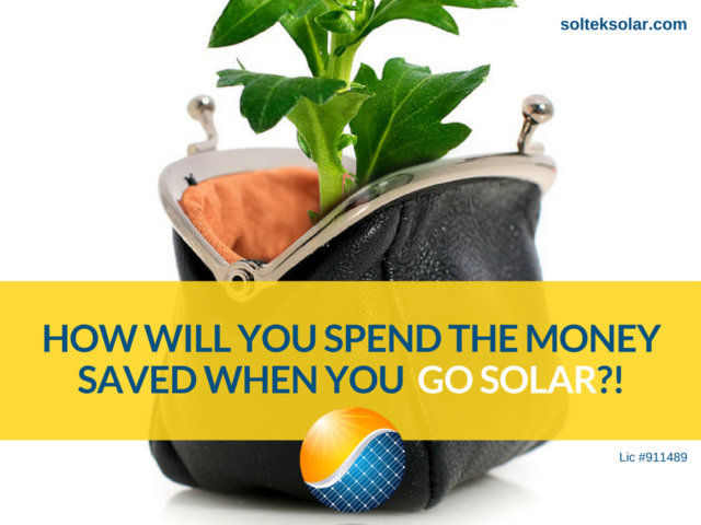 Shows a sapling growing out of a purse symbolizing the renewable savings offered when you go solar